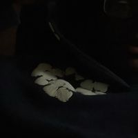 sammy made this beat