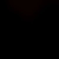206_brxyax
