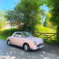 mypinkfigaro