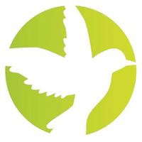 suara asli - FLIGHT: Protecting Birds