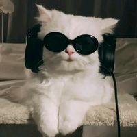 music.lxr