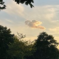 stillhealinghere_
