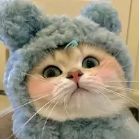 original sound - cutecatvi