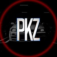 pkzin.zxy
