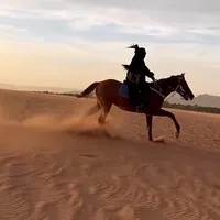 original sound - skorpio22dr