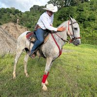 yerlang27