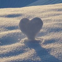 emobrokensnowleopards