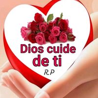 _rosa658