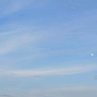 suara asli - ariyantis