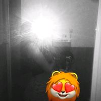 peladadomenica