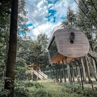 treeinn_baumhaushotel