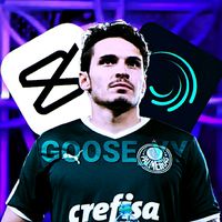 goose_yy