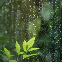 14102025stillinmyheart8