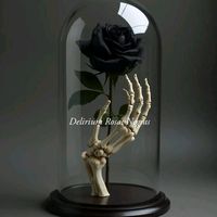 estrellasixtosvillanueva