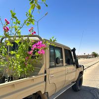 special_forces074