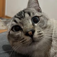 jackiozzy