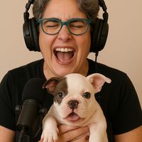 simone_americanbully