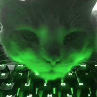 ..green..neko..fortnite_