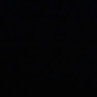 sofia.sss1_3
