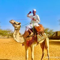 الصوت الأصلي