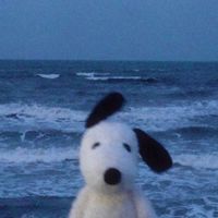 fidgets._xxx_.aesthetic