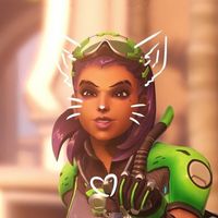 https..ashe
