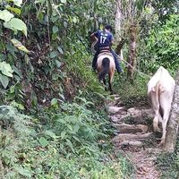 migueltello6291
