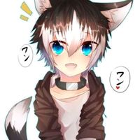 katzenhai__