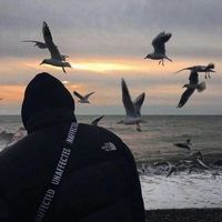 оригинальный звук