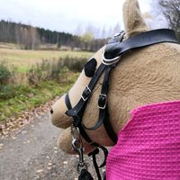 keppari.._..harrastaja