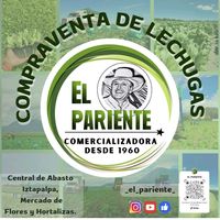 distribucionlechugas