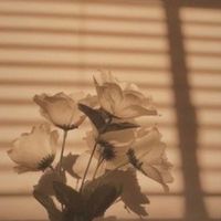 _followifulikefidgets_