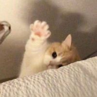 just.iverlin.0fficial