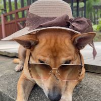 suara asli - -Ekow04-