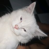 original sound - 🎥🎵🎙️🎤