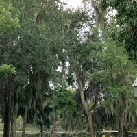 original sound - xwnt.v