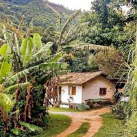 fefeserviceimmobilier