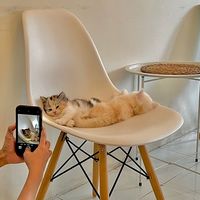 suara asli - Nindya ayu