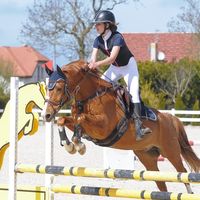 enit.horses