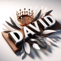 davii2544