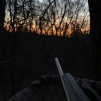 user_by_gavin