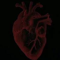 original sound - bilgenaz_123