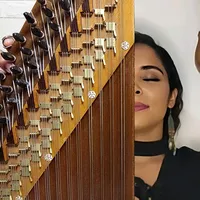 الدبكة بالقانون