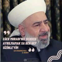 haznevi000