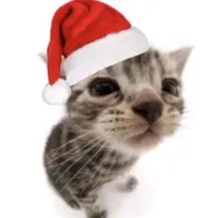 original sound - bastianestebanopa7