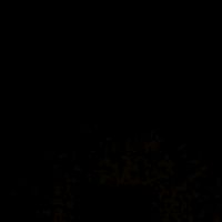 sin.ganas_de_vivir.0