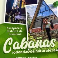 sonido original