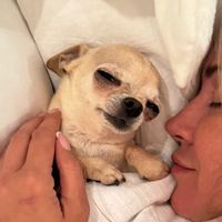 оригинальный звук