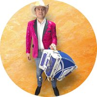 hernan_acordeonista