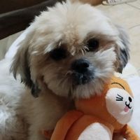 maria.luiza0976